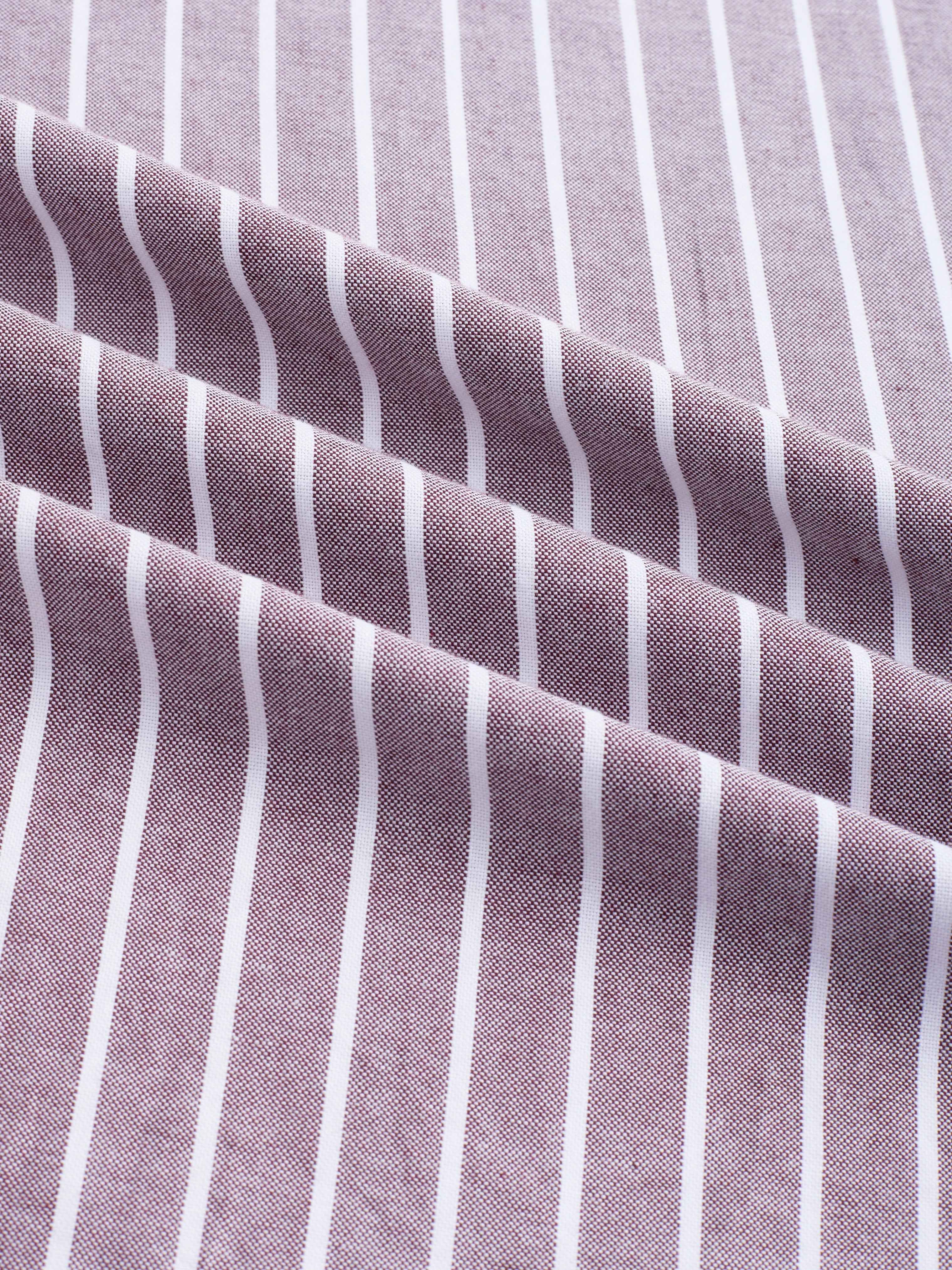Brick Brown Candy Striped Oxford Button-Down Collar Shirt