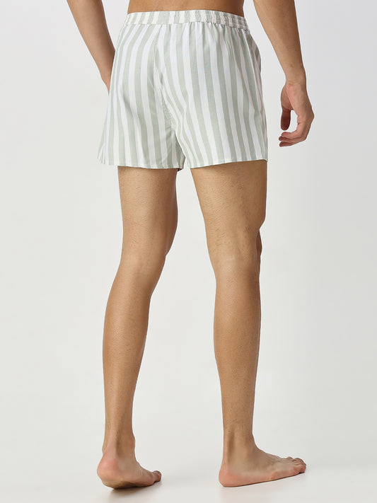 Brown & Pistachio Candy Striped Boxers