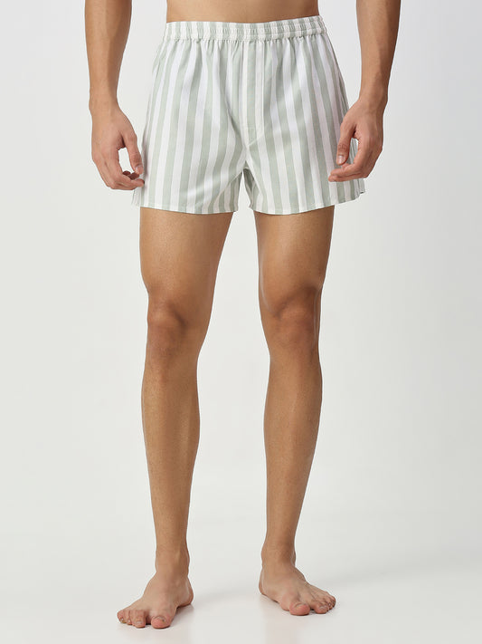 Brown & Pistachio Candy Striped Boxers